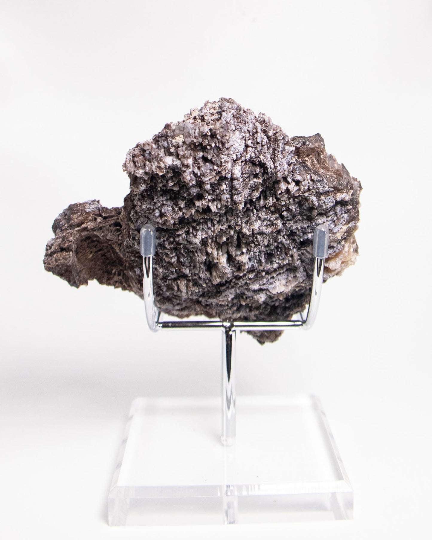 義大利阿爾卑斯木化石藍玉髓