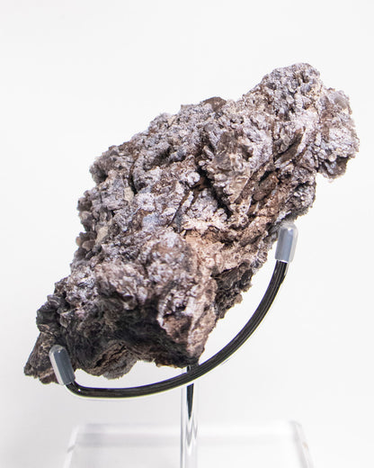 義大利阿爾卑斯木化石藍玉髓