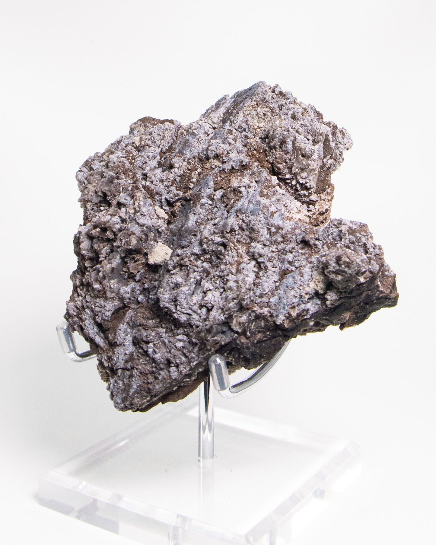 義大利阿爾卑斯木化石藍玉髓