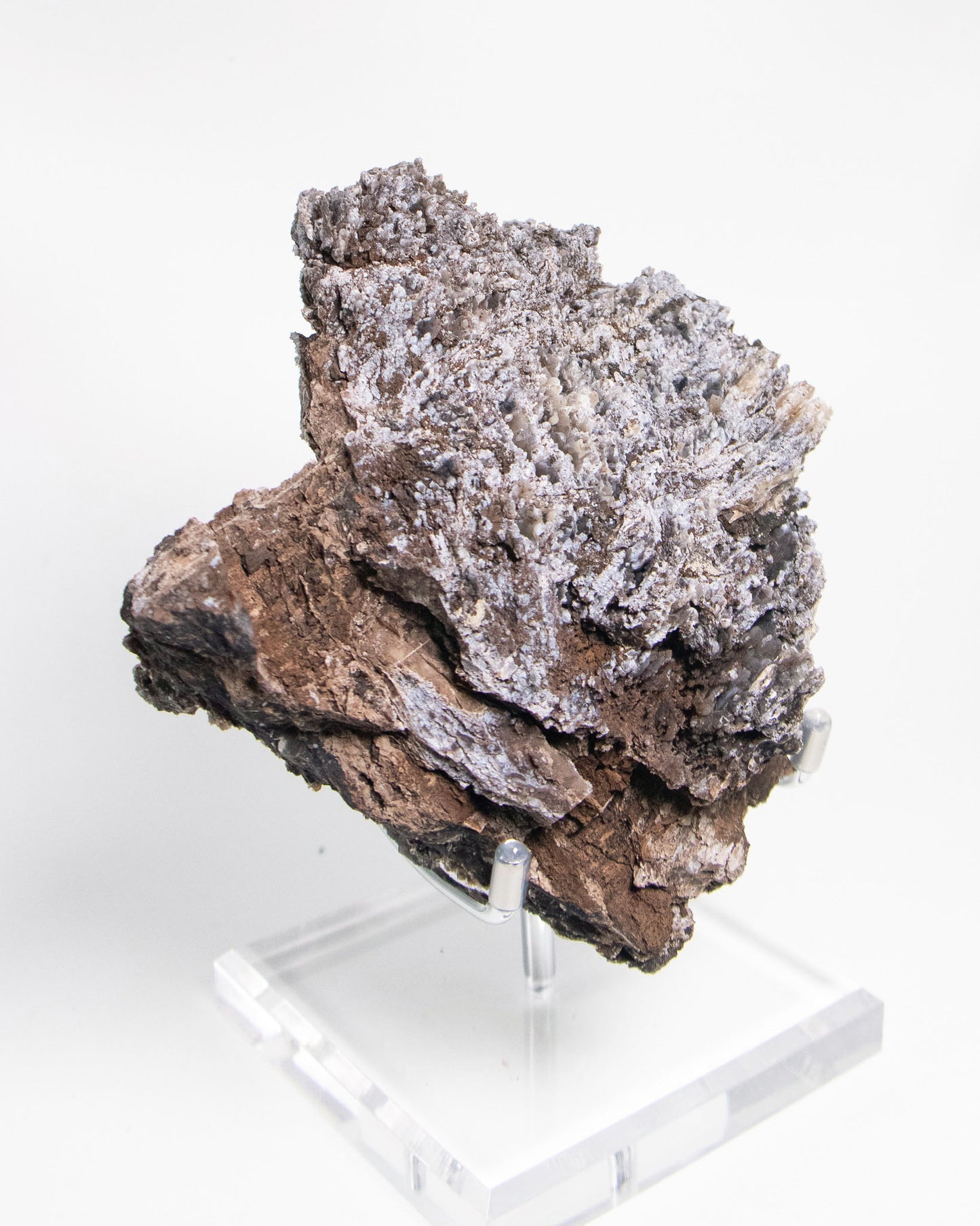 義大利阿爾卑斯木化石藍玉髓