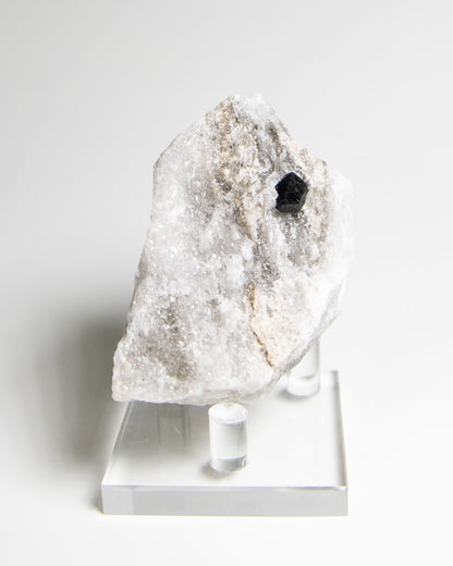 Black Quartz on Anhydrite