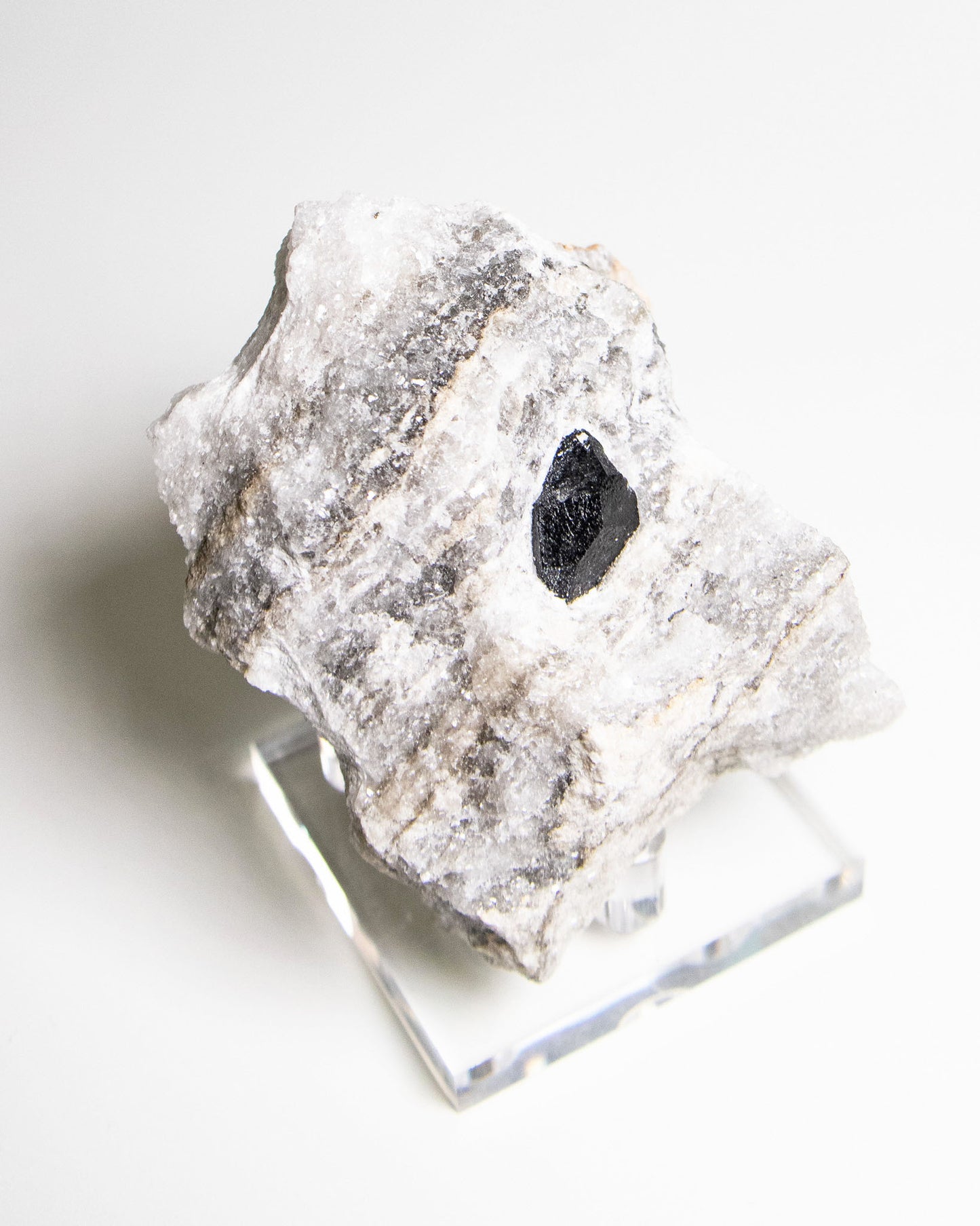 稀有罕見的義大利雙尖黑水晶 Rare black quartz specimen on anhydrite, featuring double-terminated quartz crystals with graphite inclusions from Italy.