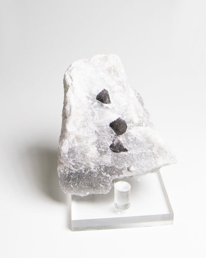 稀有罕見的義大利雙尖黑水晶 Rare black quartz specimen on anhydrite, featuring double-terminated quartz crystals with graphite inclusions from Italy.