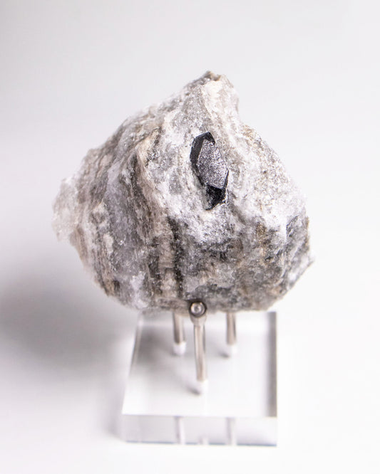 稀有罕見的義大利雙尖黑水晶 Rare black quartz specimen on anhydrite, featuring double-terminated quartz crystals with graphite inclusions from Italy.