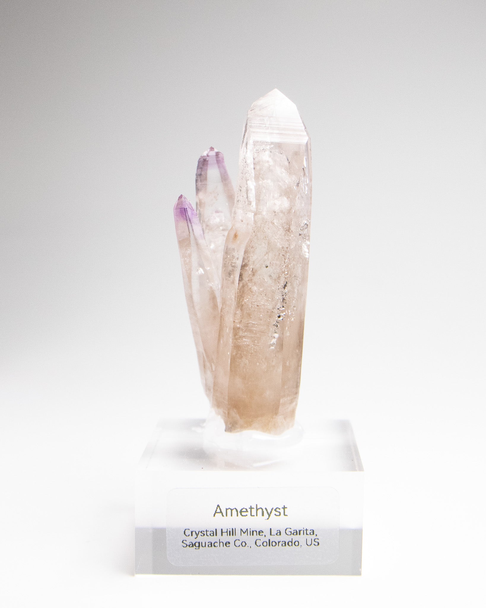 科羅拉多紫水晶｜稀有產區‧Crystal Hill高端礦物標本 Fine Amethyst specimen from Colorado