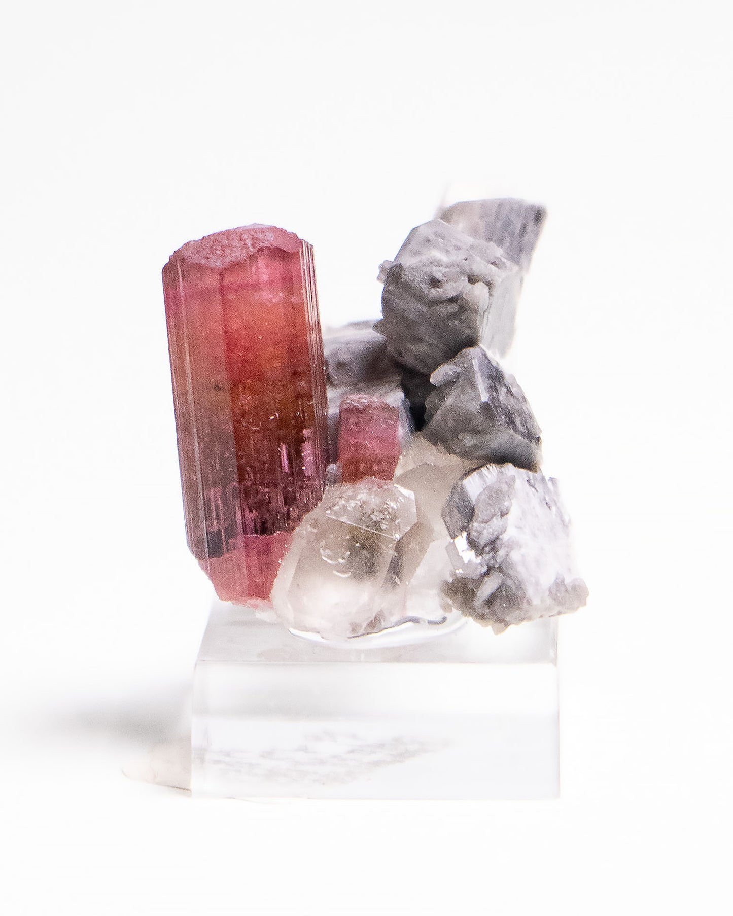 摩洛哥紅碧璽近幾年以少量且高品質的姿態，逐步進入國際收藏市場。