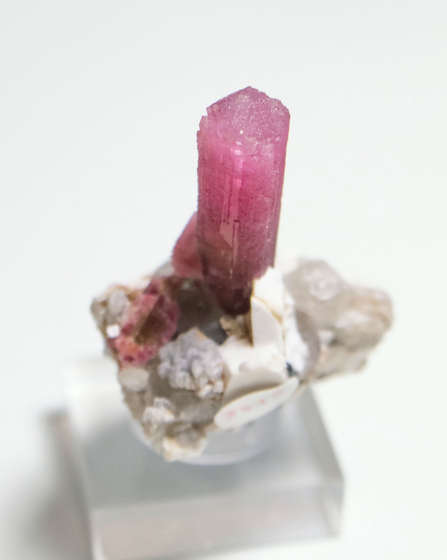 摩洛哥紅碧璽/鋰電氣石Morocco Tourmaline