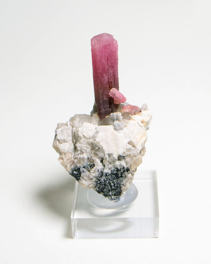 摩洛哥紅碧璽/鋰電氣石Morocco Tourmaline