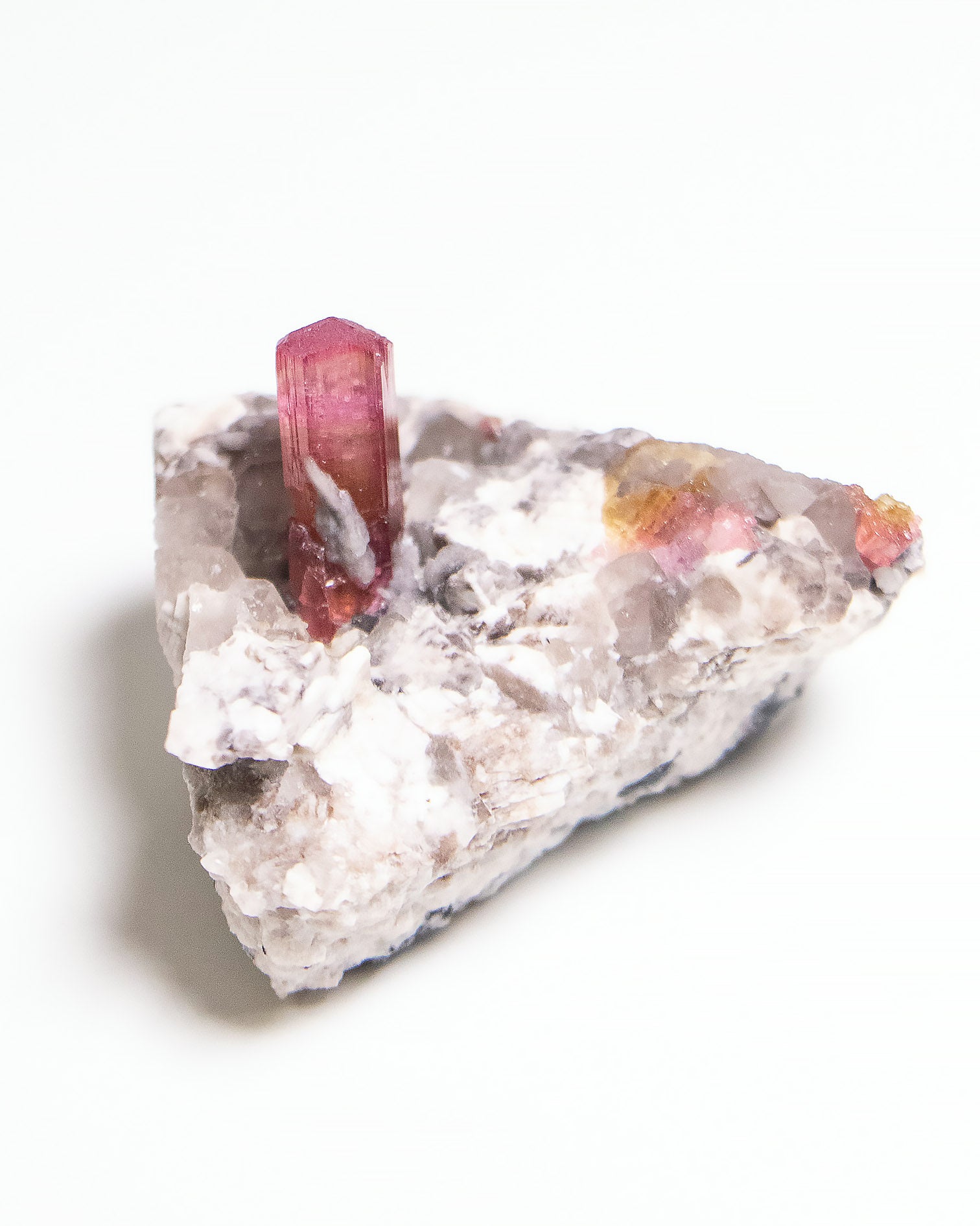 摩洛哥碧璽近年才進入國際市場的新興產地，這件母岩上的紅碧璽標本呈現濃郁而飽滿的粉紅色調，光澤動人。