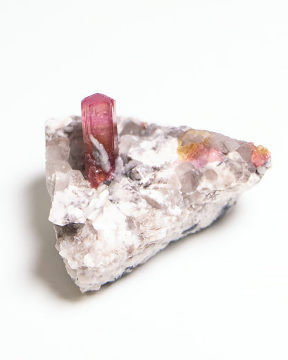 摩洛哥碧璽近年才進入國際市場的新興產地，這件母岩上的紅碧璽標本呈現濃郁而飽滿的粉紅色調，光澤動人。