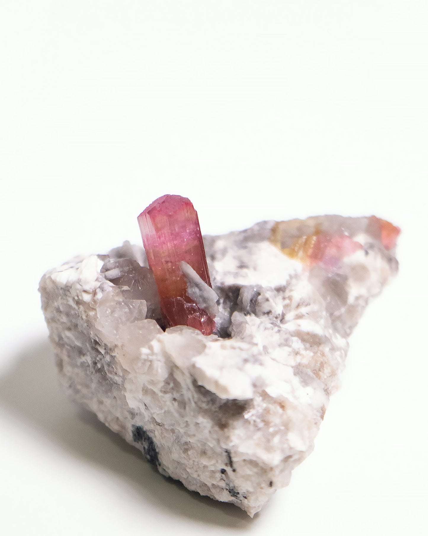 摩洛哥碧璽近年才進入國際市場的新興產地，這件母岩上的紅碧璽標本呈現濃郁而飽滿的粉紅色調，光澤動人。