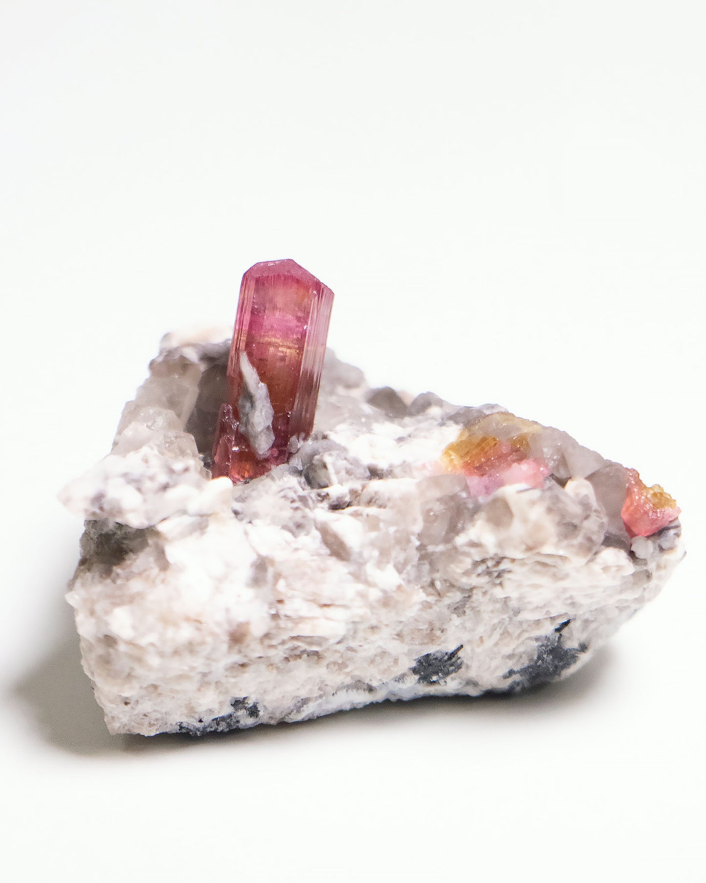 摩洛哥碧璽近年才進入國際市場的新興產地，這件母岩上的紅碧璽標本呈現濃郁而飽滿的粉紅色調，光澤動人。