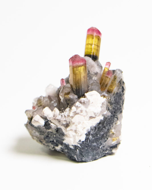 摩洛哥雙色/西瓜碧璽Morocco bicoloered Watermelon Tourmaline