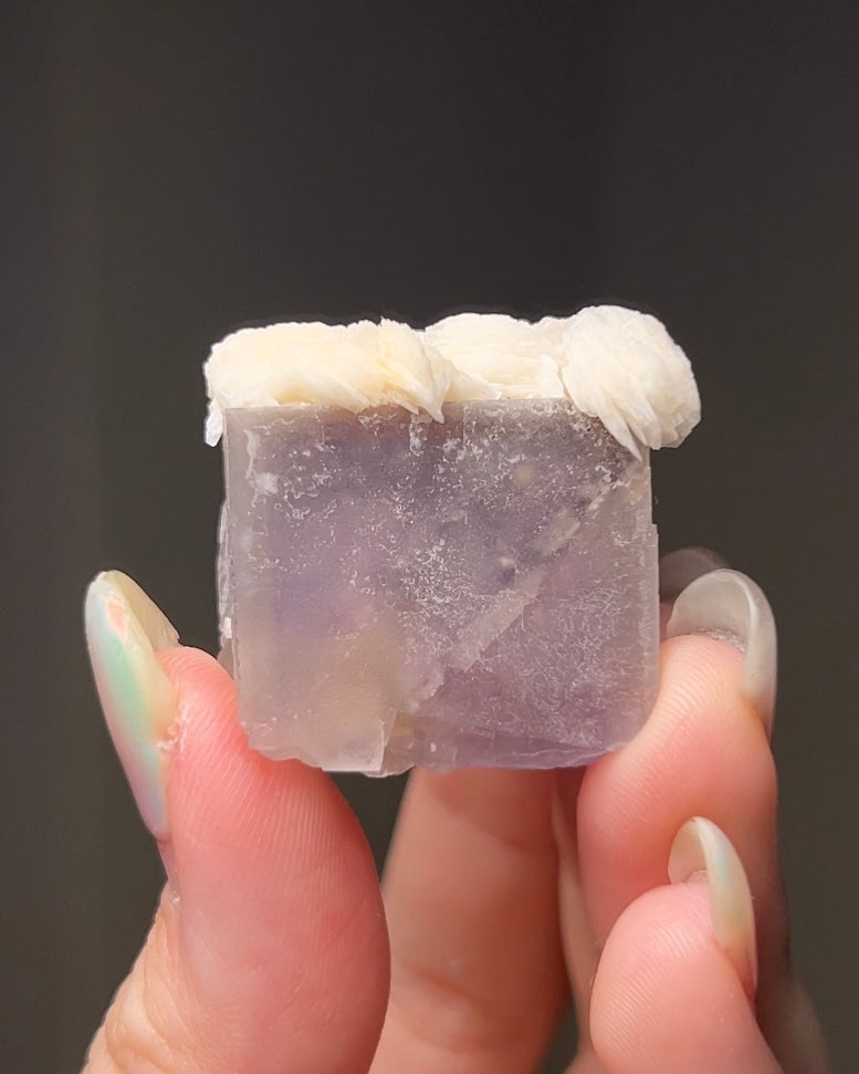 Baryte on Fluorite - Palermo, Sicily, Italy