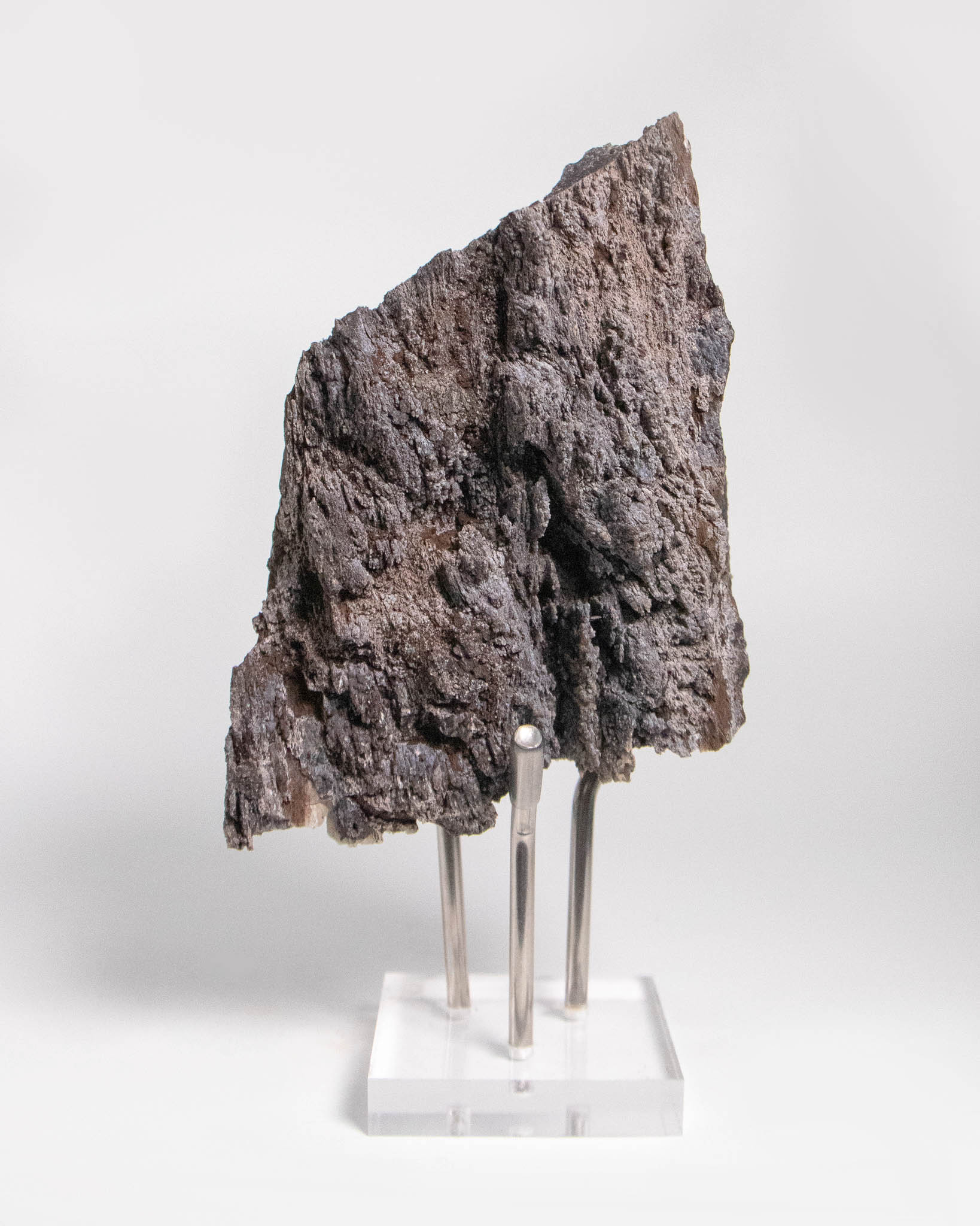 木質調居家擺飾義大利阿爾卑斯木化石