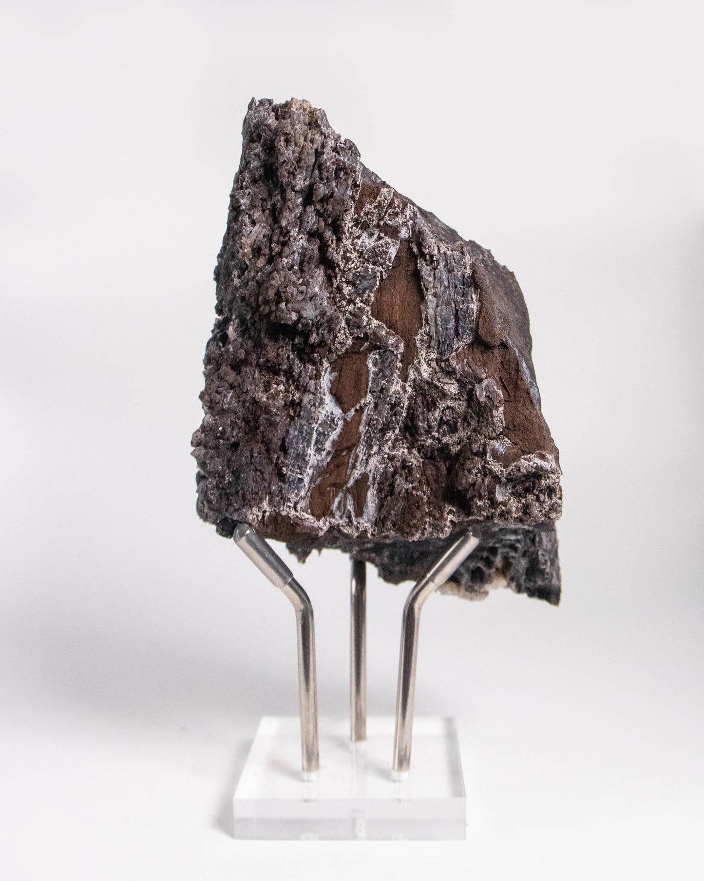 木質調居家擺飾義大利阿爾卑斯木化石