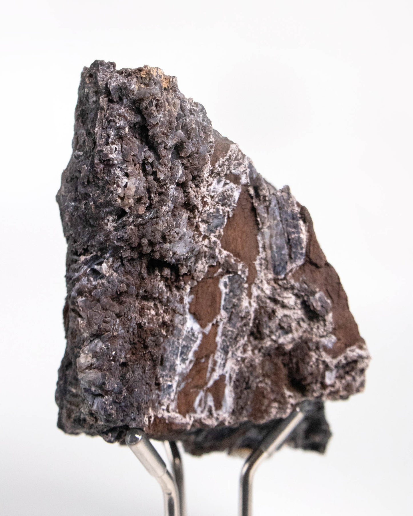 木質調居家擺飾義大利阿爾卑斯木化石