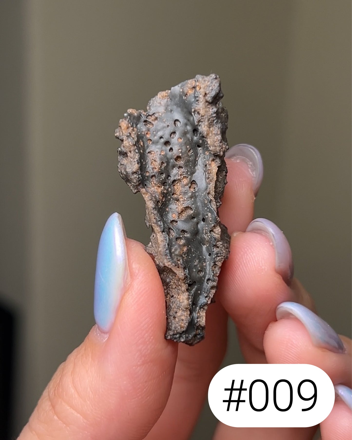 閃電化石 - 撒哈拉沙漠