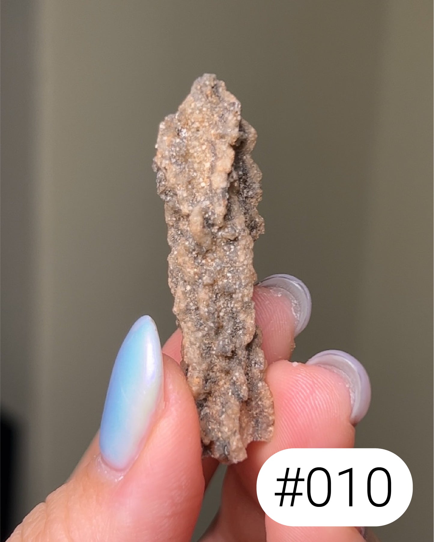 閃電化石 - 撒哈拉沙漠