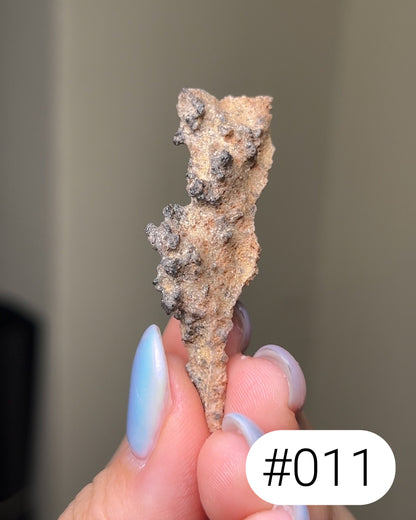 閃電化石 - 撒哈拉沙漠