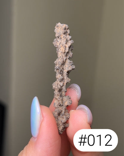 閃電化石 - 撒哈拉沙漠