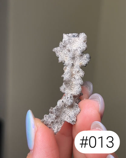 閃電化石 - 撒哈拉沙漠