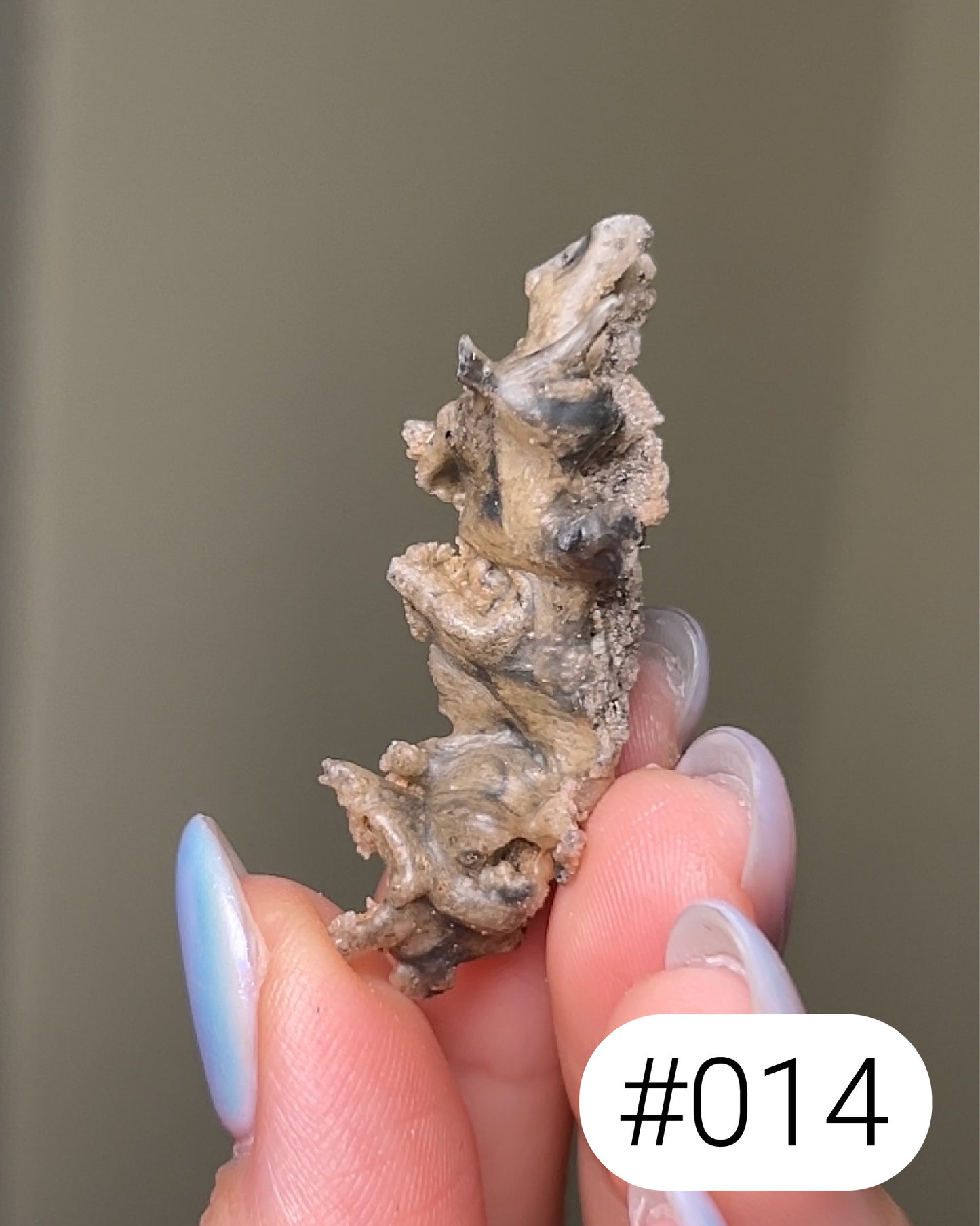 閃電化石 - 撒哈拉沙漠