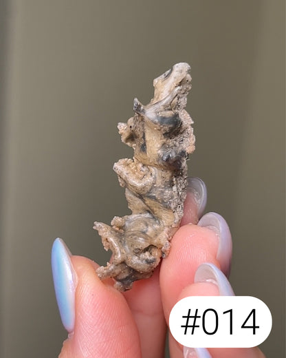 閃電化石 - 撒哈拉沙漠