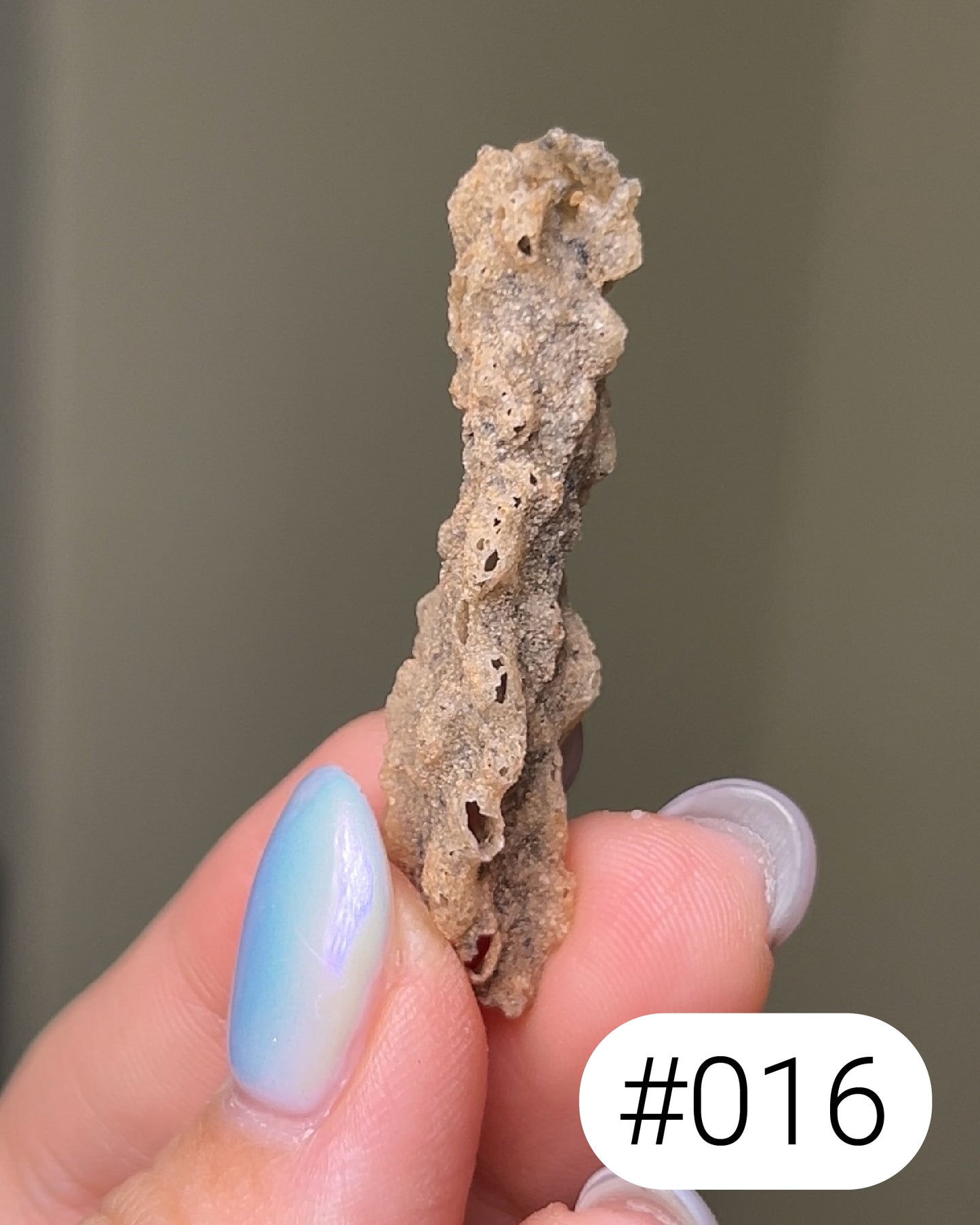 閃電化石 - 撒哈拉沙漠