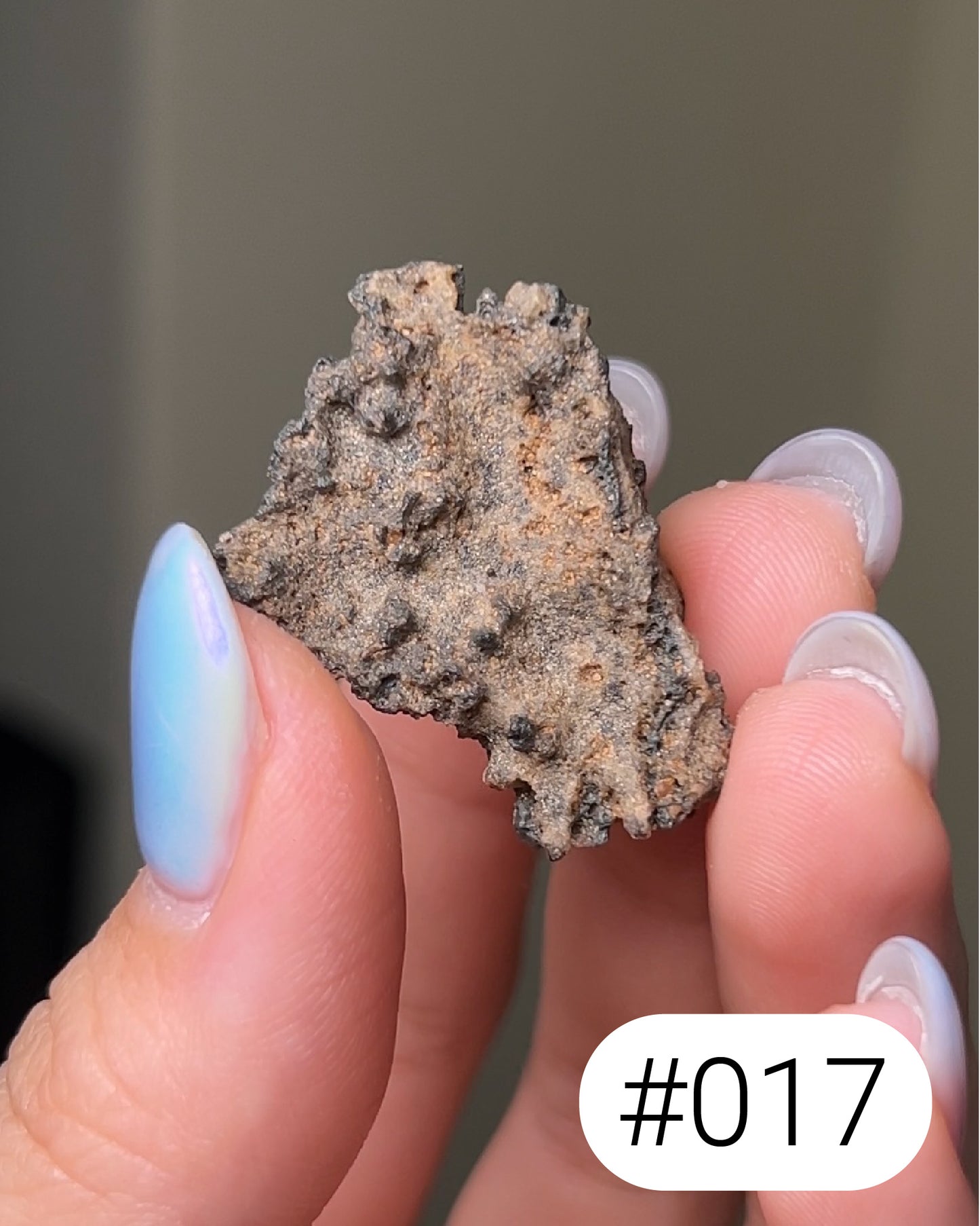 閃電化石 - 撒哈拉沙漠