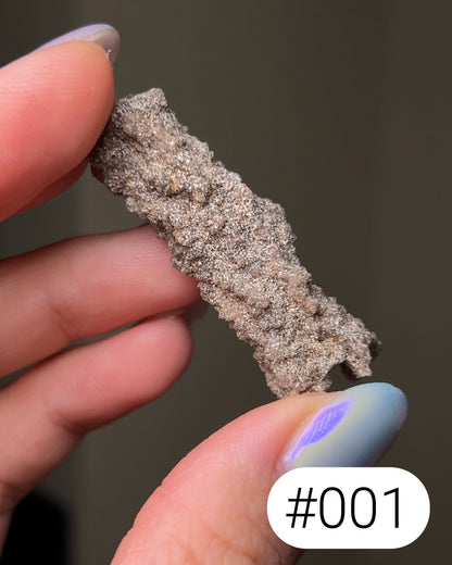 閃電化石 - 撒哈拉沙漠