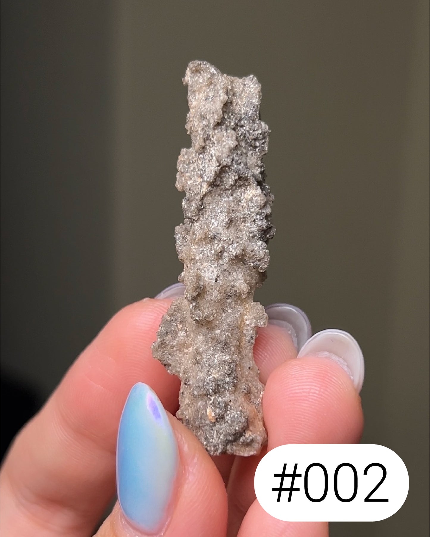 閃電化石 - 撒哈拉沙漠