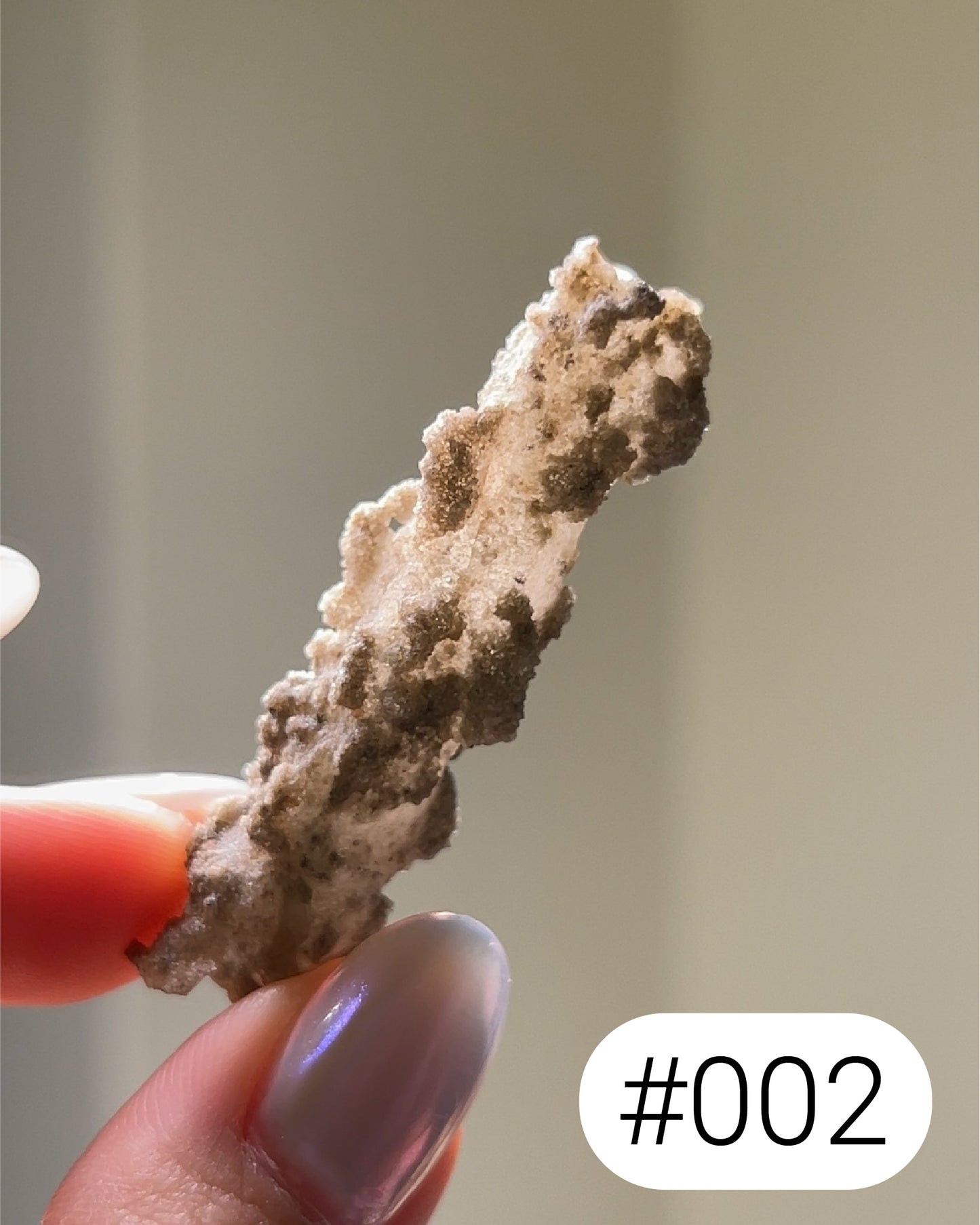 閃電化石 - 撒哈拉沙漠