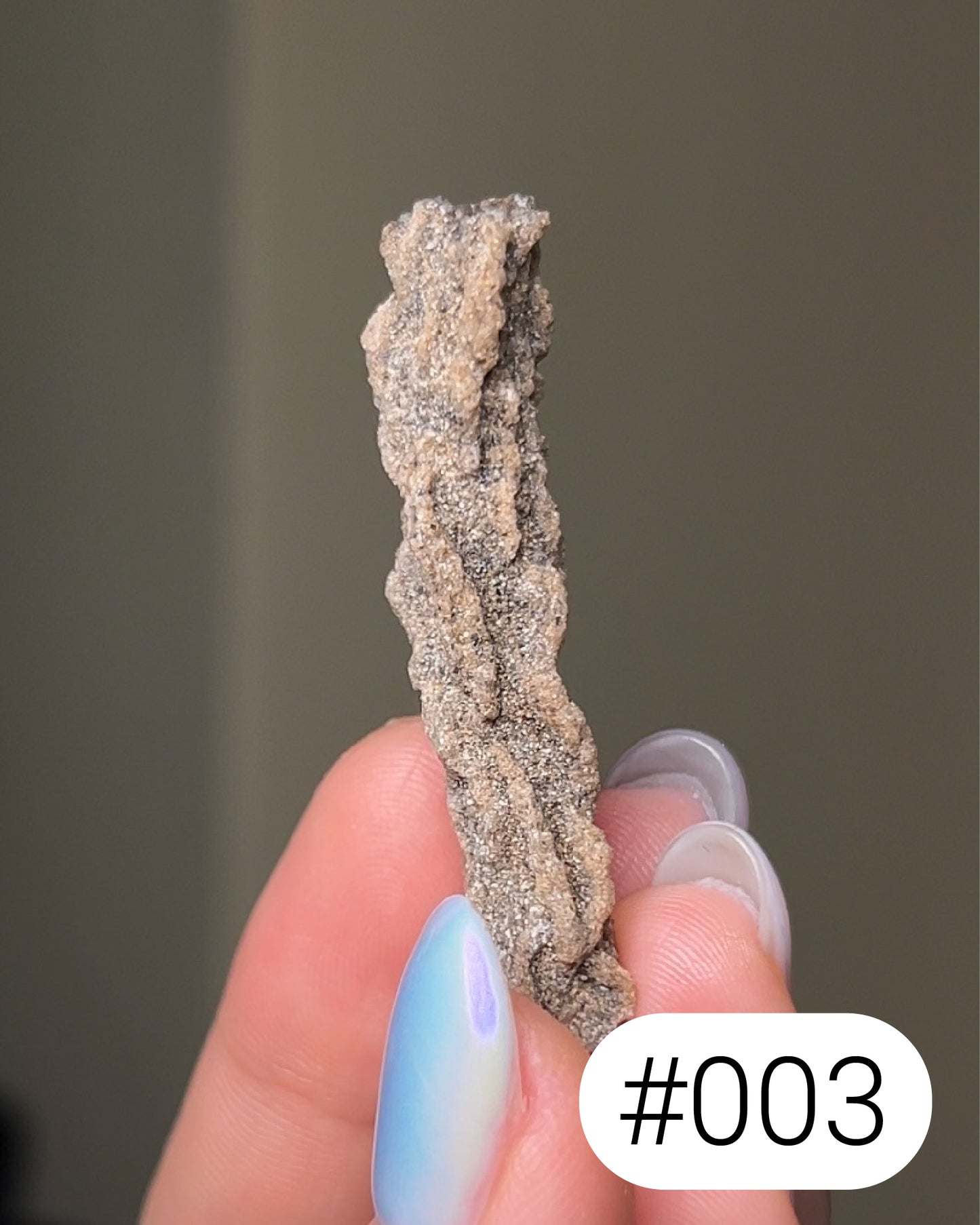 閃電化石 - 撒哈拉沙漠