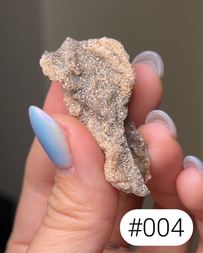 閃電化石 - 撒哈拉沙漠