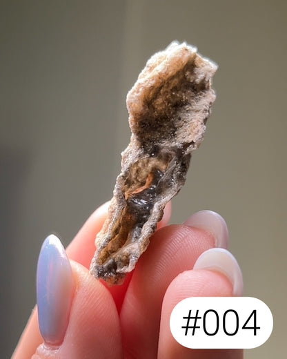 閃電化石 - 撒哈拉沙漠