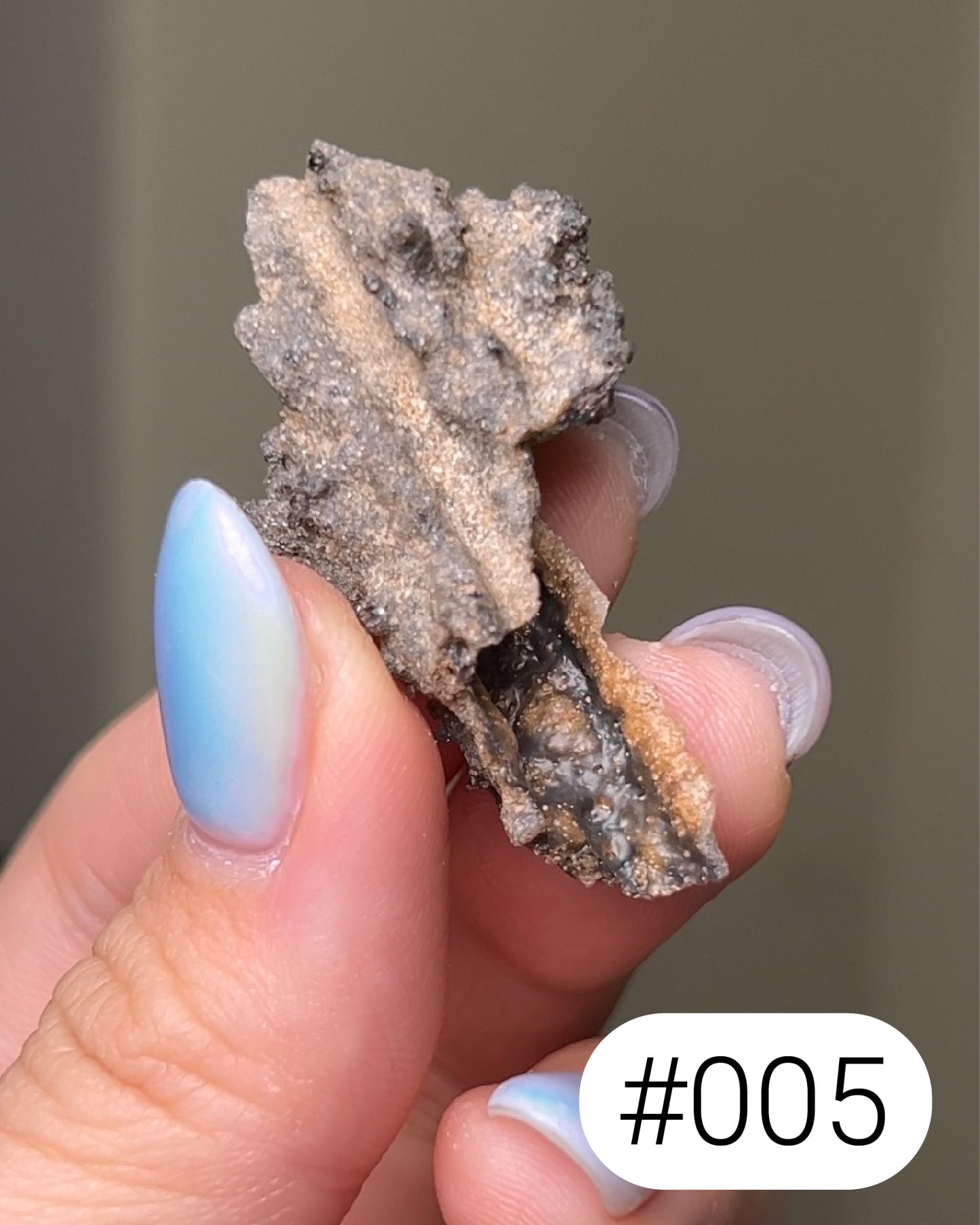 閃電化石 - 撒哈拉沙漠