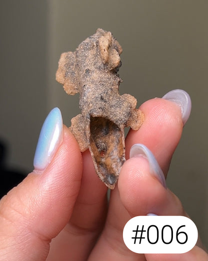 閃電化石 - 撒哈拉沙漠