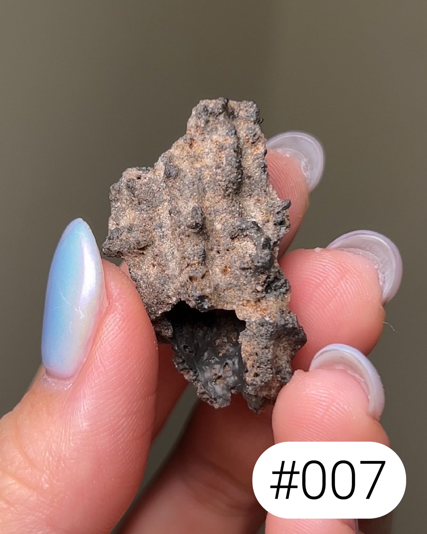 閃電化石 - 撒哈拉沙漠