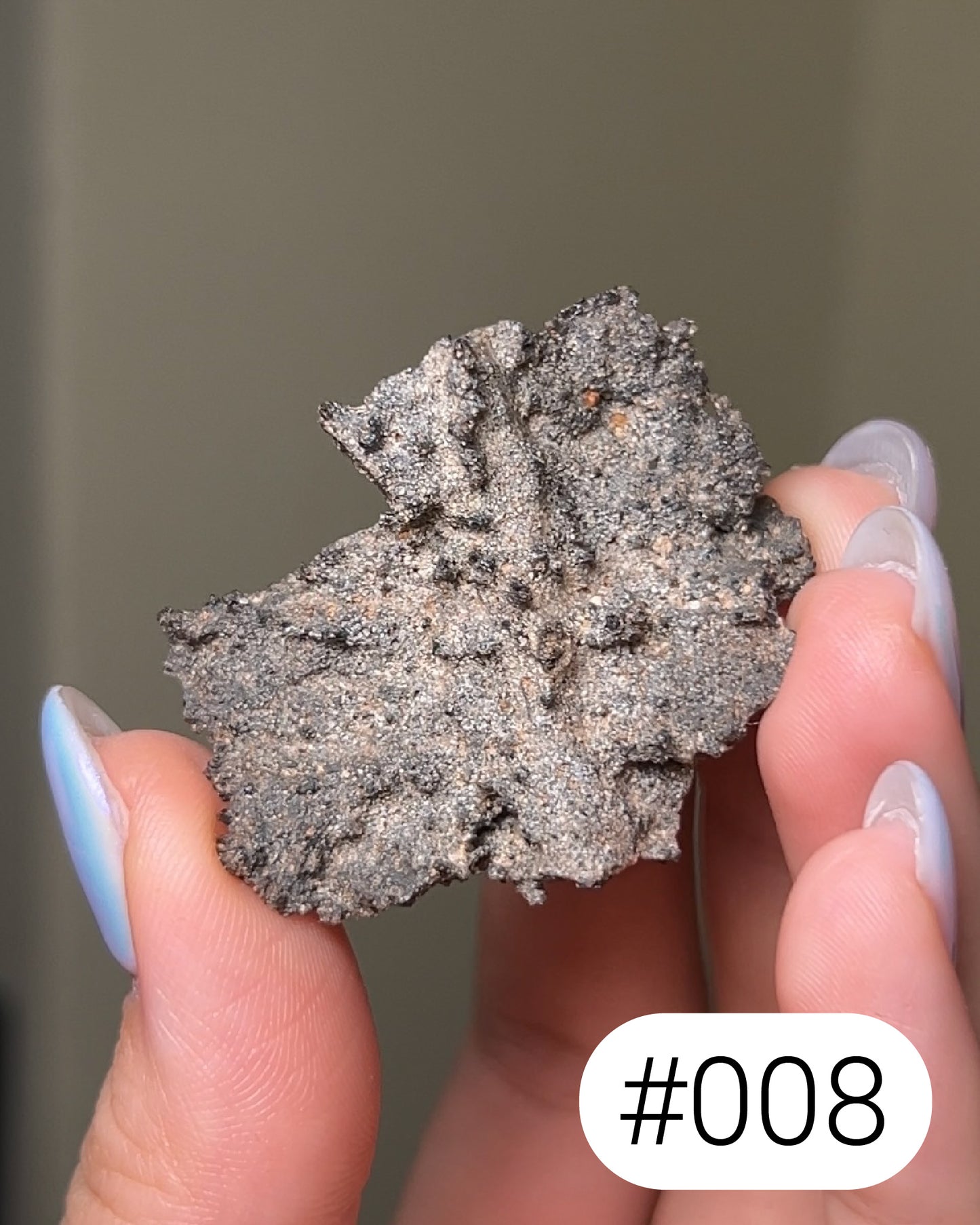 閃電化石 - 撒哈拉沙漠