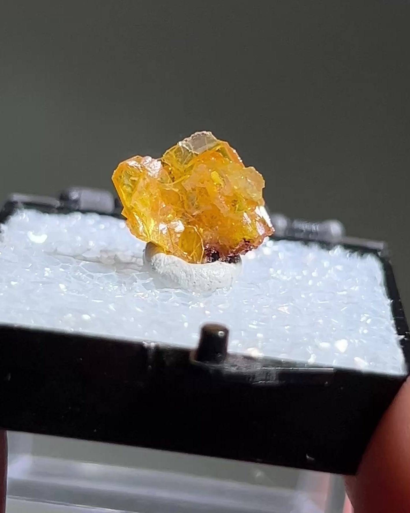 墨西哥鉬鉛礦標本（Mexican wulfenite specimen）呈高度透明的薄板狀晶體（with highly transparent thin tabular crystals）