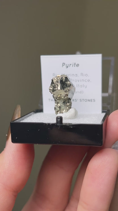 Pyrite - Elba Island, Italy