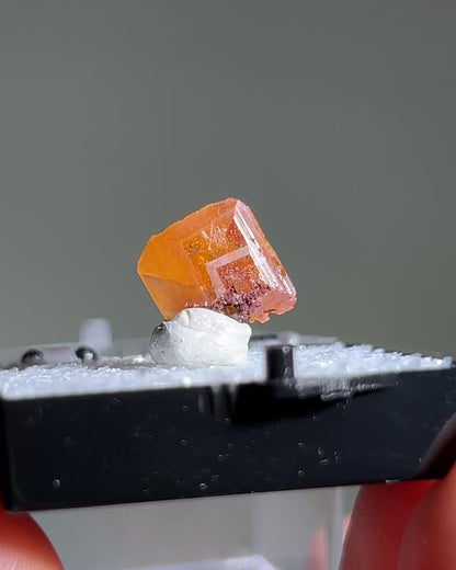 墨西哥鉬鉛礦標本（Mexican wulfenite specimen）呈高度透明的薄板狀晶體（with highly transparent thin tabular crystals）