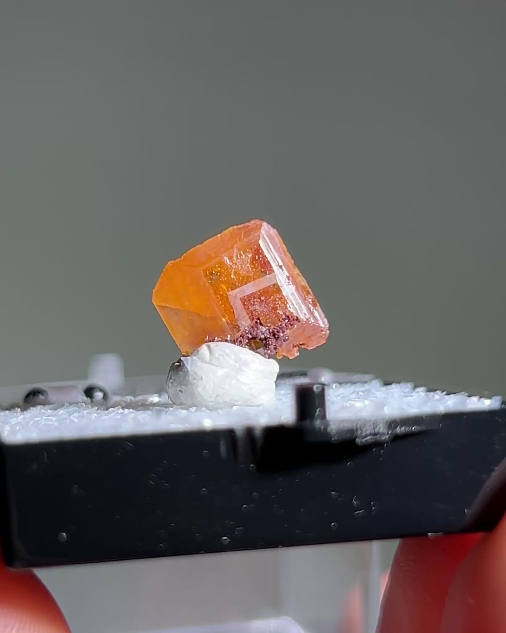 墨西哥鉬鉛礦標本（Mexican wulfenite specimen）呈高度透明的薄板狀晶體（with highly transparent thin tabular crystals）