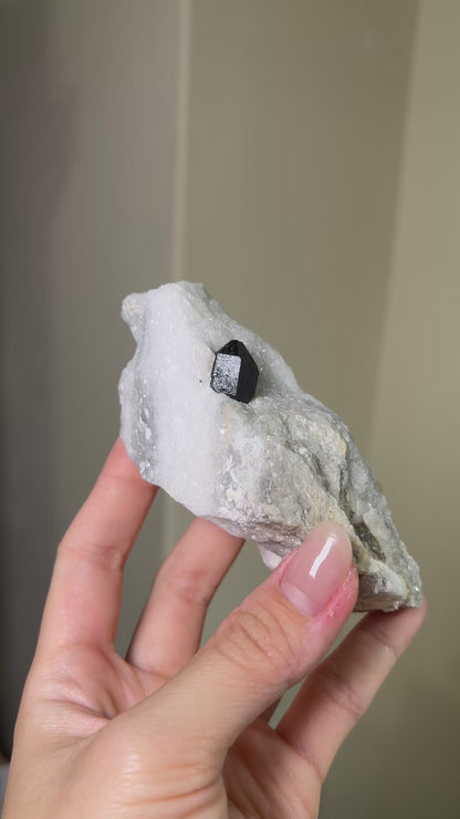 Black Quartz on Anhydrite - Reggio Emilia, Italy