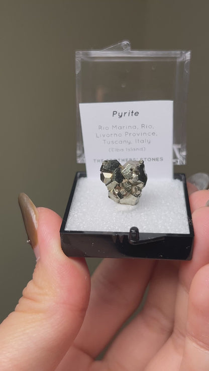 Pyrite - Elba Island, Italy
