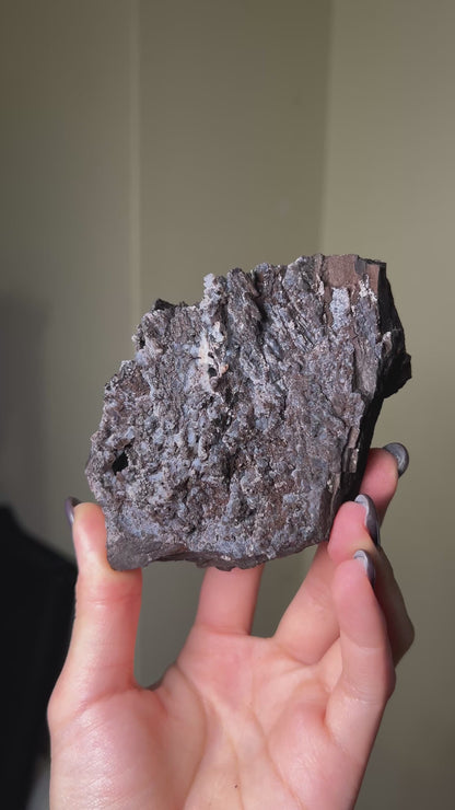 阿爾卑斯木化石藍玉髓 - 義大利