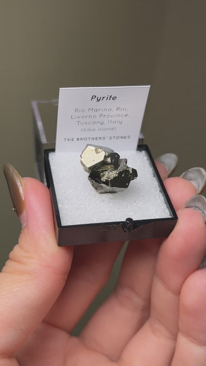 Pyrite - Elba Island, Italy