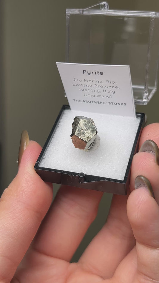 黃鐵礦 - 義大利厄爾巴島