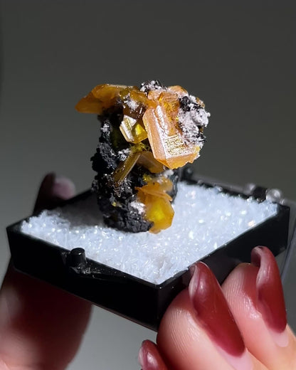 墨西哥鉬鉛礦標本（Mexican wulfenite specimen）呈高度透明的薄板狀晶體（with highly transparent thin tabular crystals）